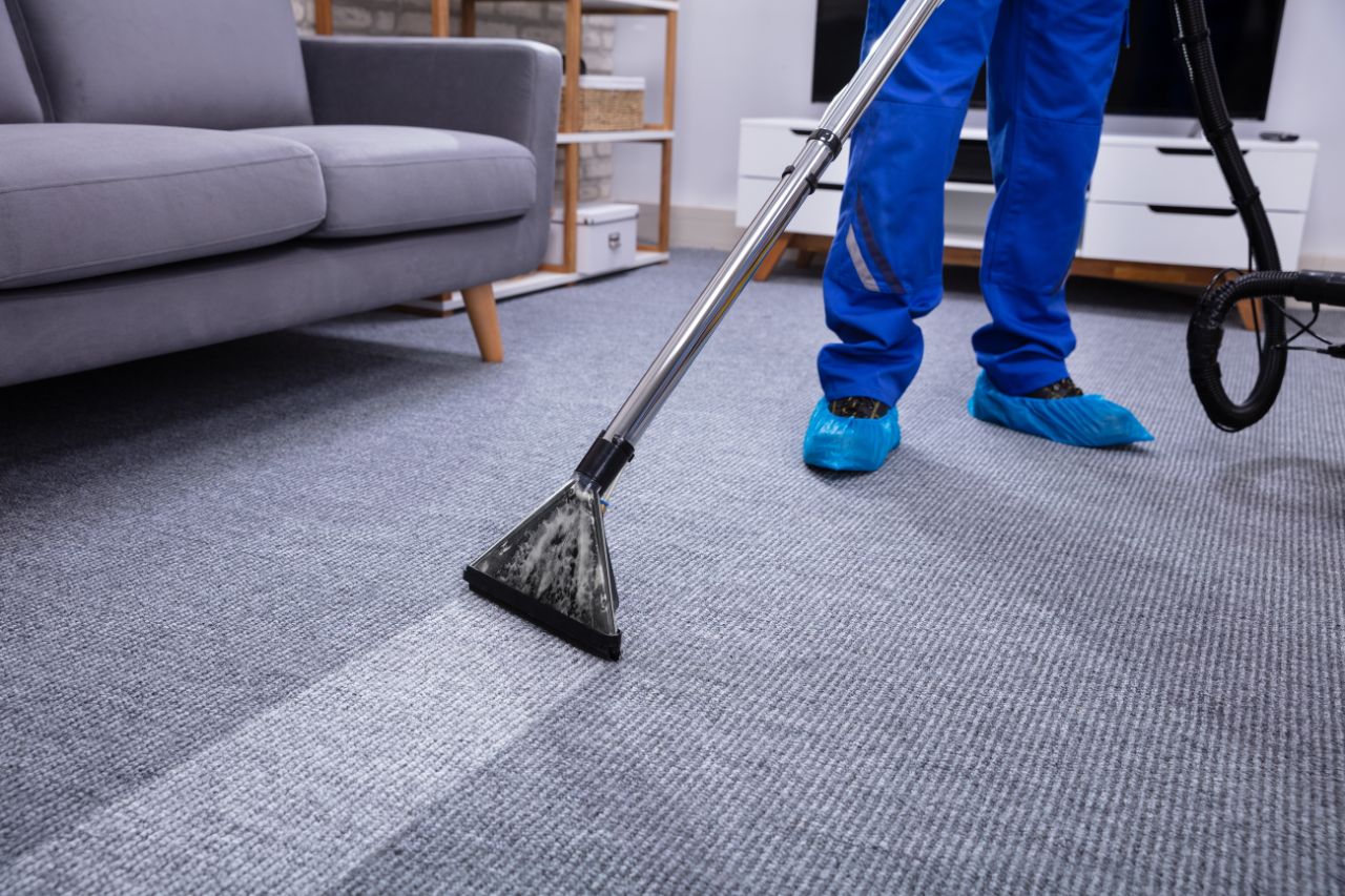 Professional carpet cleaning equipment refreshing a carpet