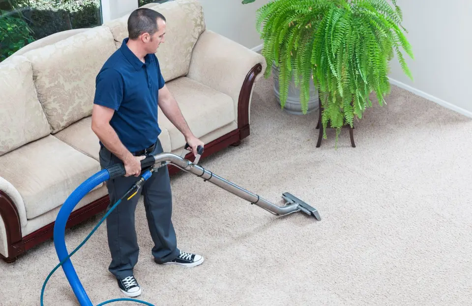 Professional carpet cleaning in a Portland home