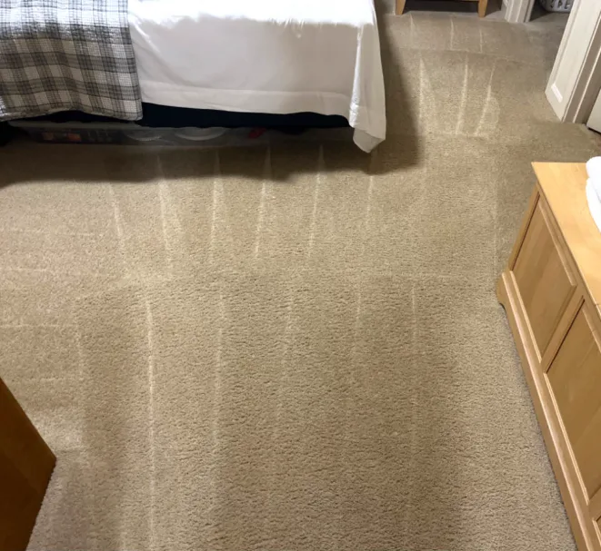 Freshly cleaned bedroom carpet with the spots removed