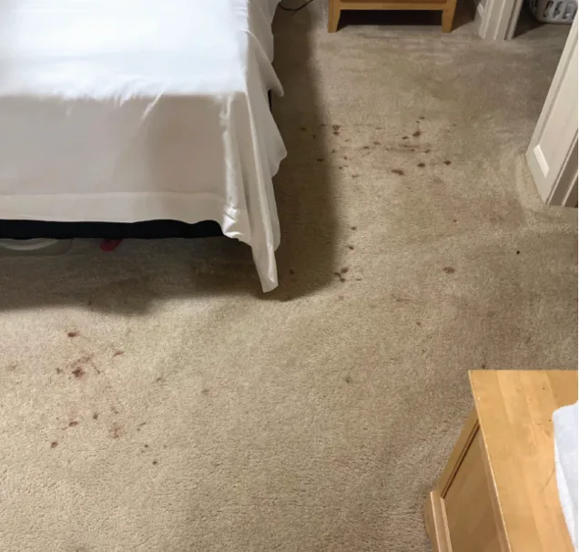 Bedroom carpet with visible dark spots before cleaning