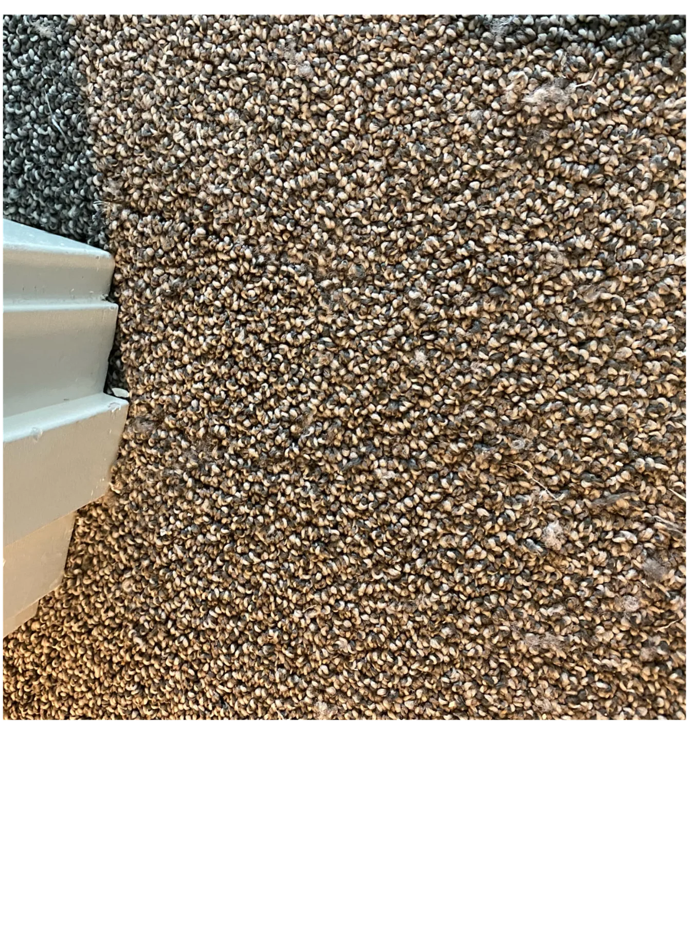 Doorway carpet edge after repair