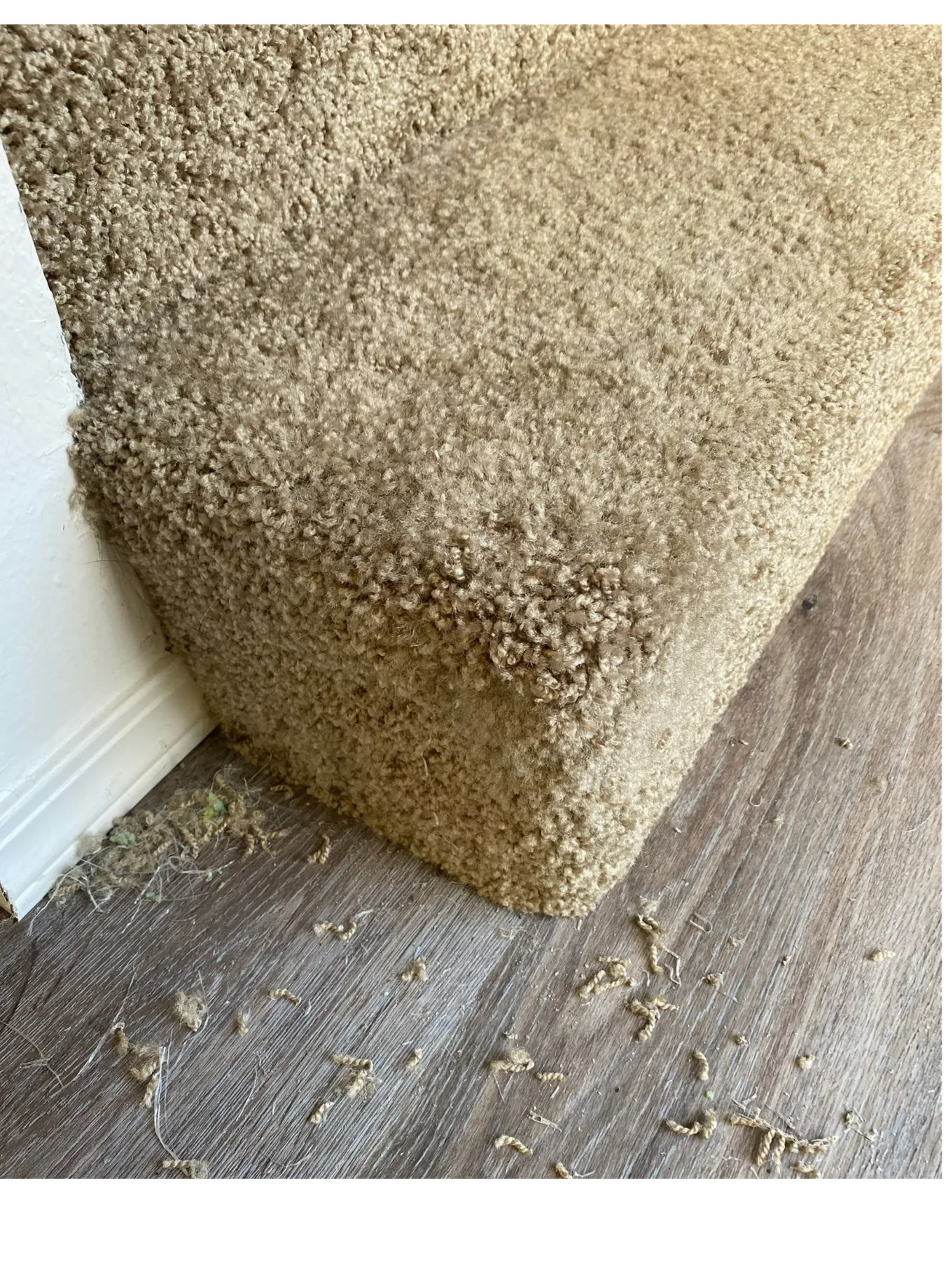 Carpeted stair edge after repair
