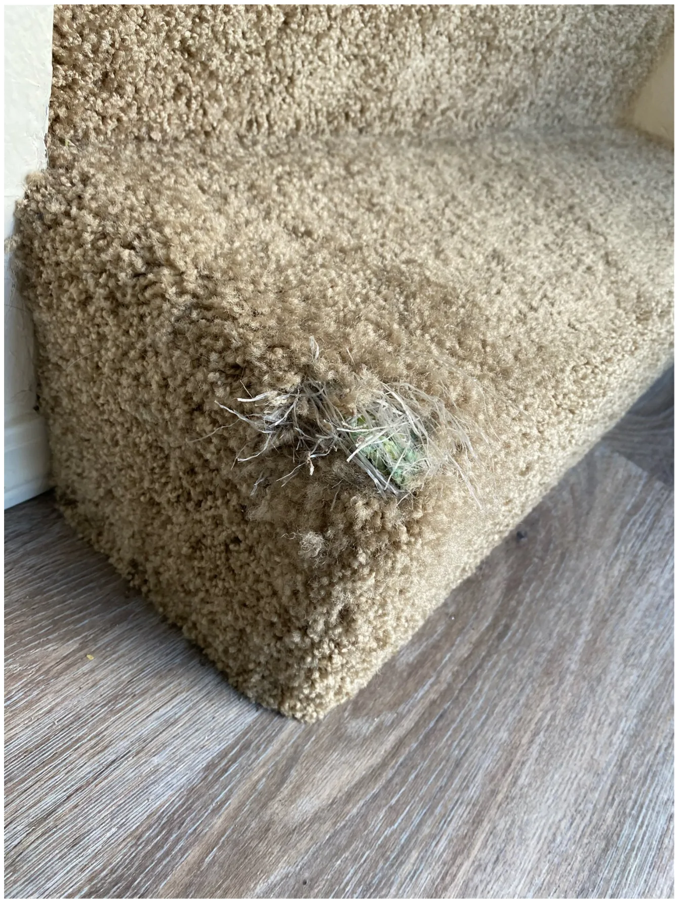 Torn carpet on a stair edge before repair