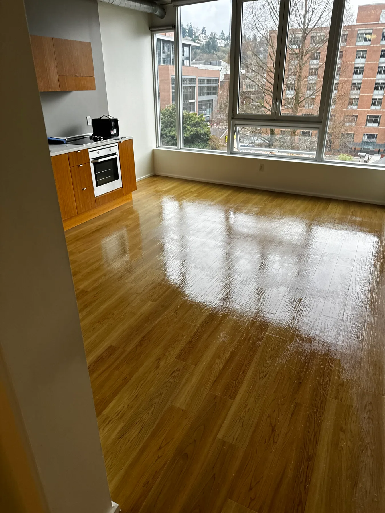 Open kitchen hard floor after cleaning