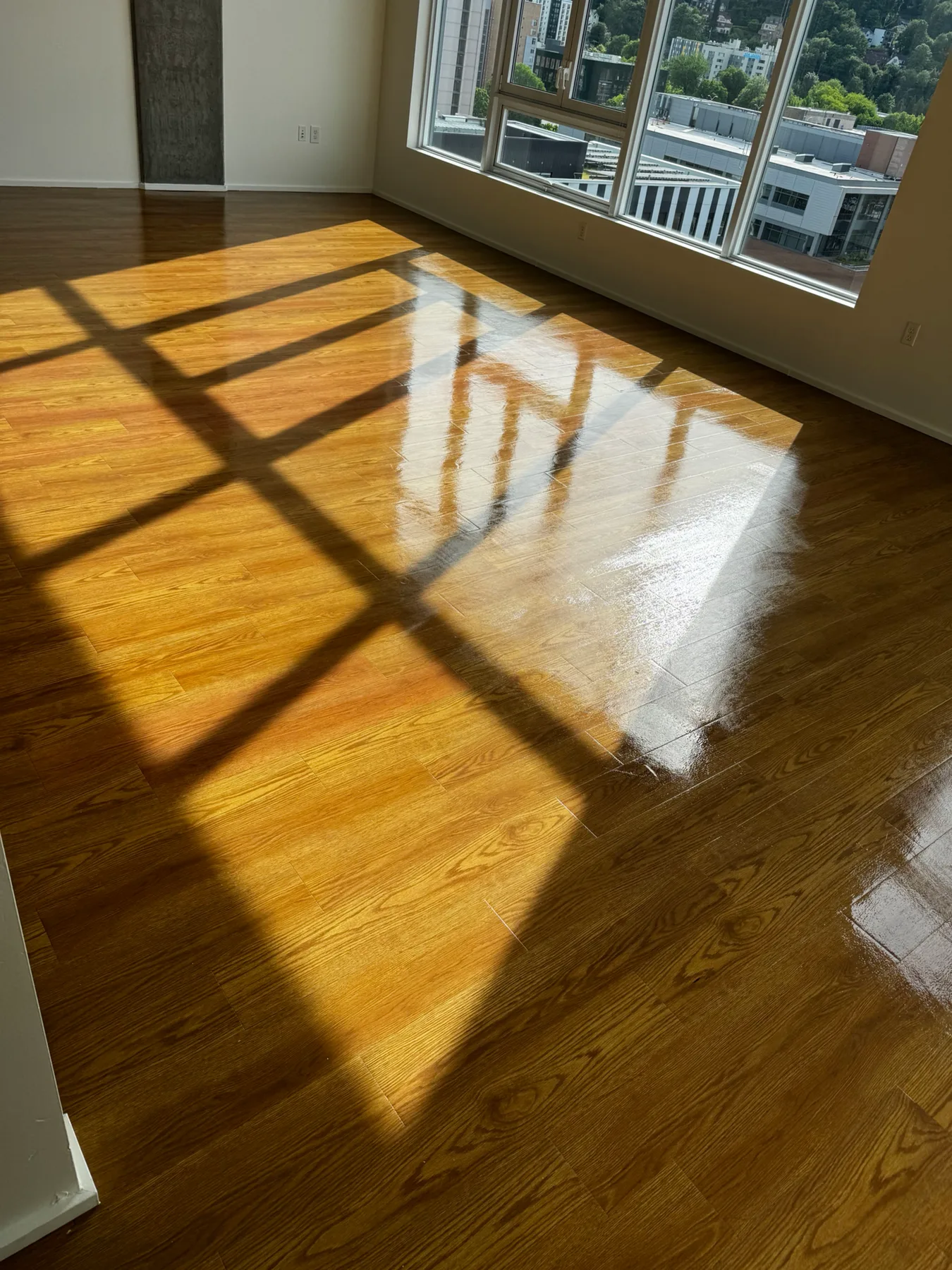 Sunlit hard floor after cleaning