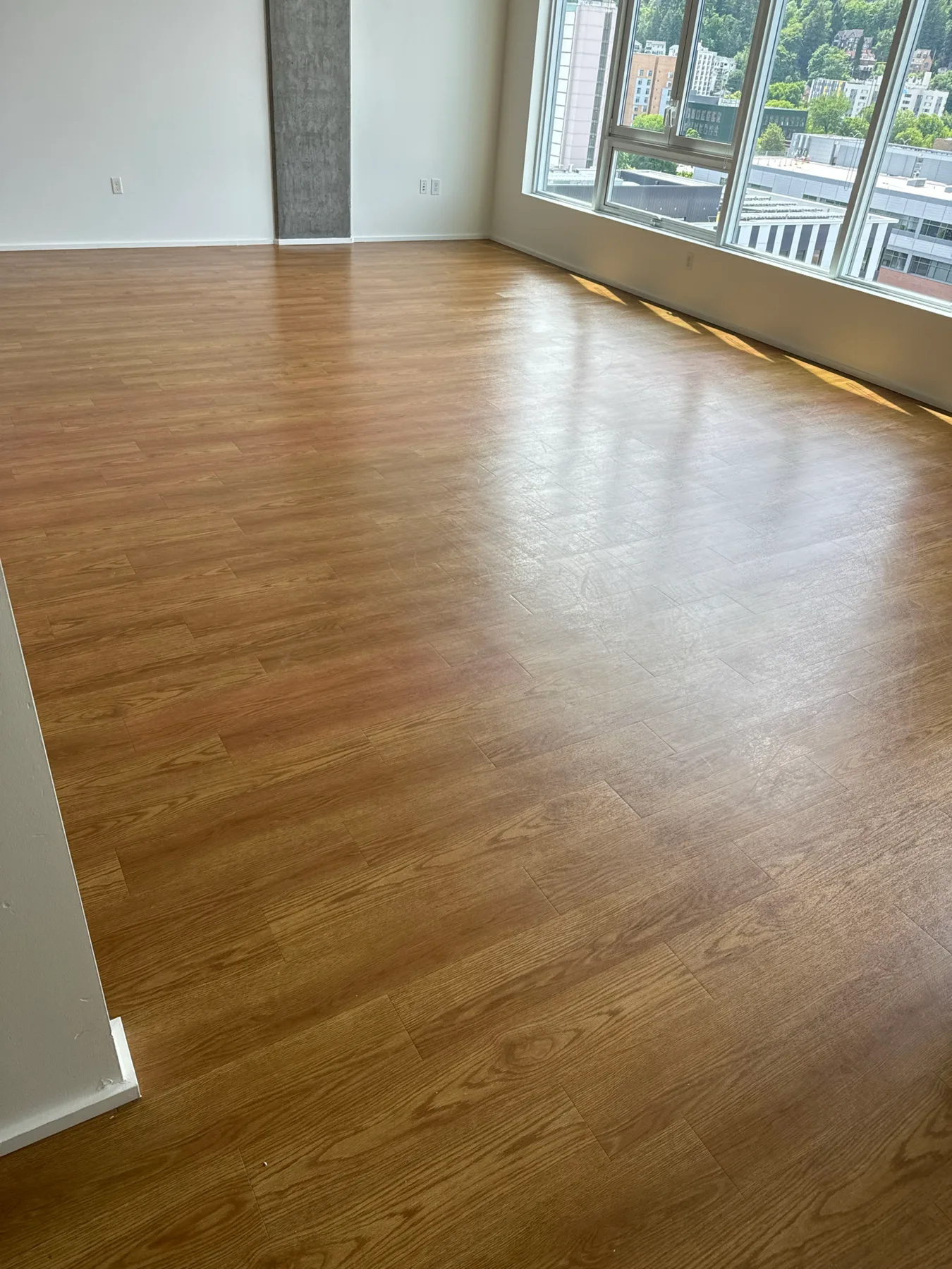 Sunlit hard floor before cleaning