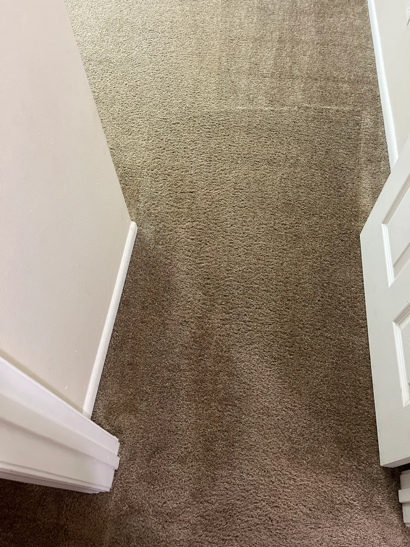 Bedroom carpet after spot dyeing blended the pale area
