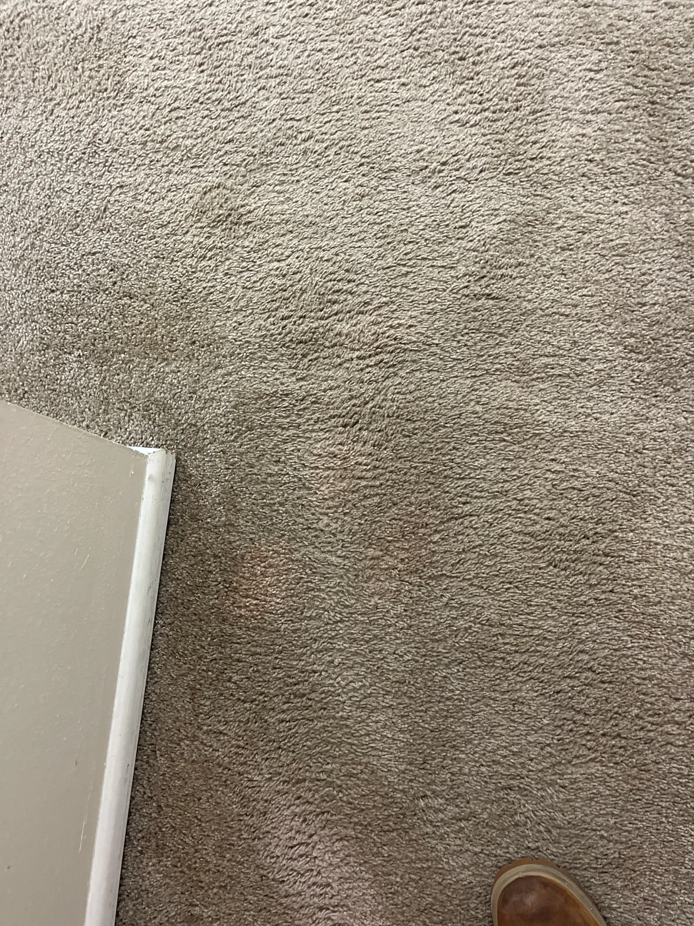 Pale bleach spot on bedroom carpet before color correction