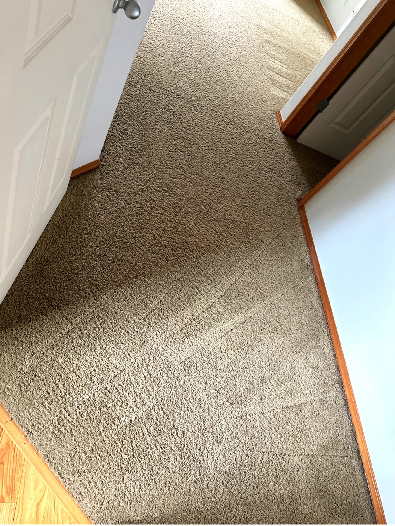 Entryway carpet after professional color restoration