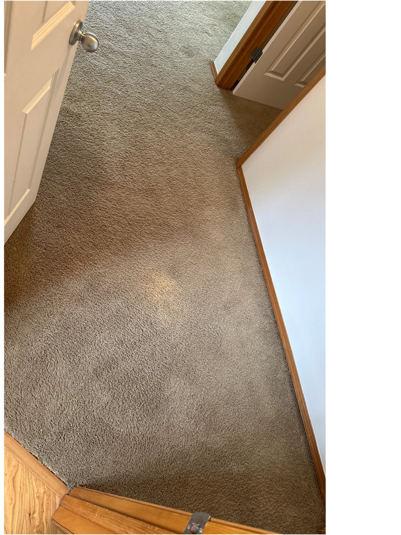 Discolored entryway carpet before spot dyeing